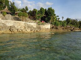 Sea Turtle House