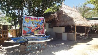Sea Turtle House