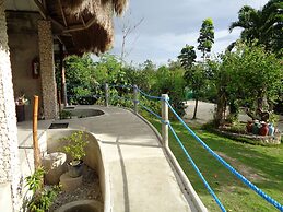 Sea Turtle House