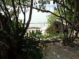 Sea Turtle House