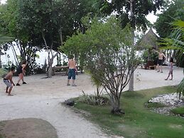 Sea Turtle House
