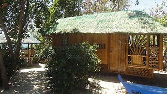 Sea Turtle House