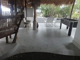 Sea Turtle House