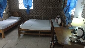 Sea Turtle House