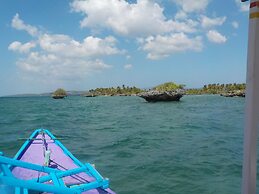 Sea Turtle House