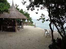 Sea Turtle House