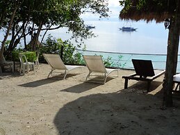Sea Turtle House