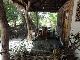 Sea Turtle House