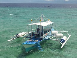 Sea Turtle House