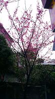 King Town Hotel