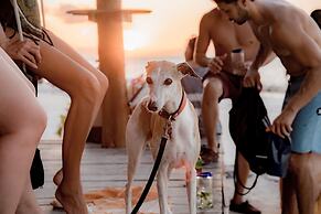 Zomay Beachfront Hotel Holbox