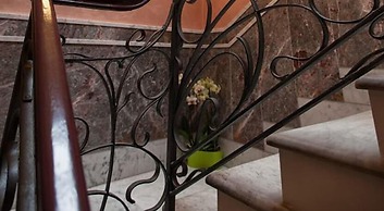 Hotel Romano
