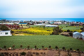 IRO Jeju