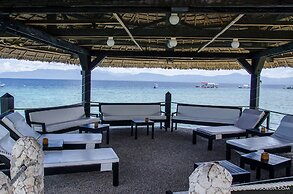 Dolphin House