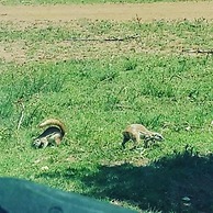Sangiro Game Lodge