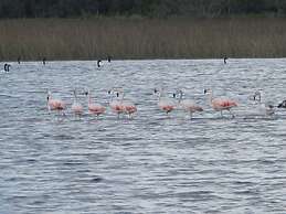 Laguna Garzon Lodge