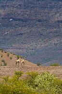 Grootberg Lodge
