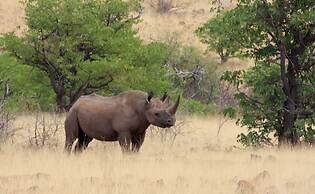 Grootberg Lodge