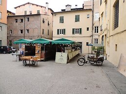 Al Cardinale