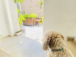 Kuku Rukú Querétaro