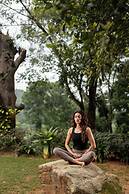 Tree of Life Nature Resort