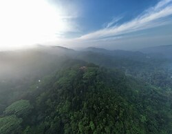 Tree of Life Nature Resort