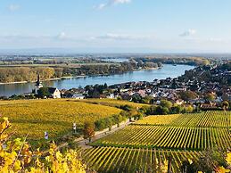 Rhein-Hotel Nierstein