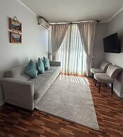 VR Suite