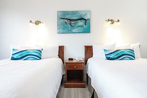 Hôtel Plante