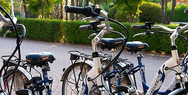 Parkhotel Delta Wellbeing Resort Ascona