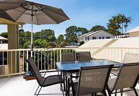 Noosa River Palms