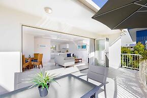 Noosa River Palms