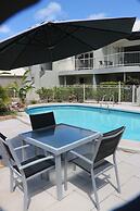 Noosa River Palms
