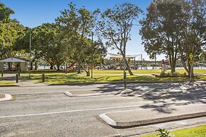 Noosa River Palms