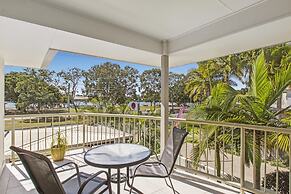 Noosa River Palms