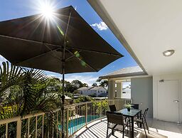 Noosa River Palms