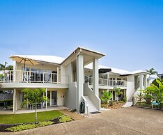 Noosa River Palms