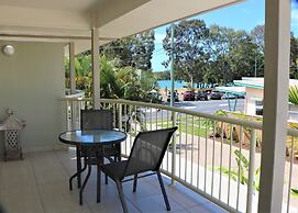 Noosa River Palms