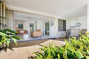 Noosa River Palms