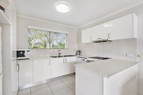 Noosa River Palms