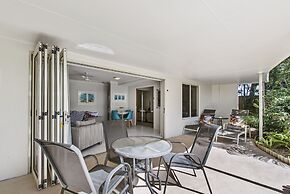 Noosa River Palms