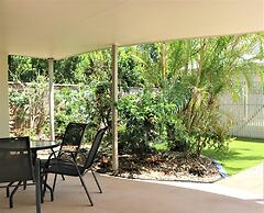 Noosa River Palms