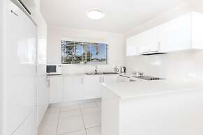 Noosa River Palms