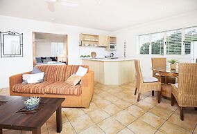 Noosa River Palms
