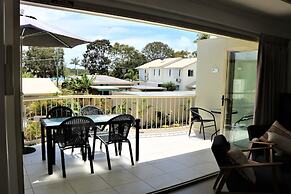 Noosa River Palms