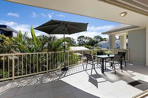 Noosa River Palms