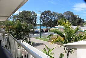 Noosa River Palms