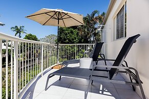 Noosa River Palms