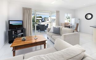 Noosa River Palms