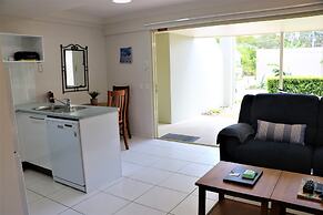 Noosa River Palms